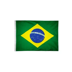 Bandeira Oficial do Brasil 22cm X 33cm